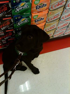 Dagan sitting in front of a large stack of soda boxes