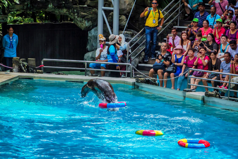 Marine Park Shows in Bangkok