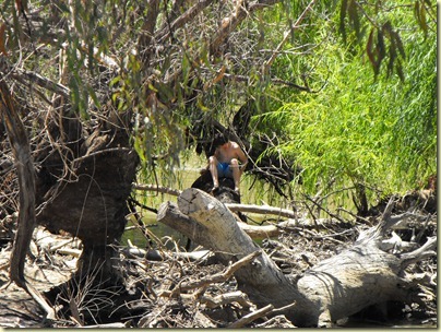Swan Hill (71)