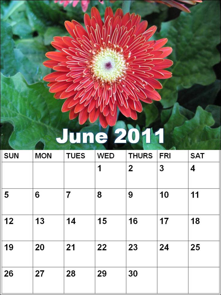 june 2011 calendar blank. Blank Calendar 2011 June or