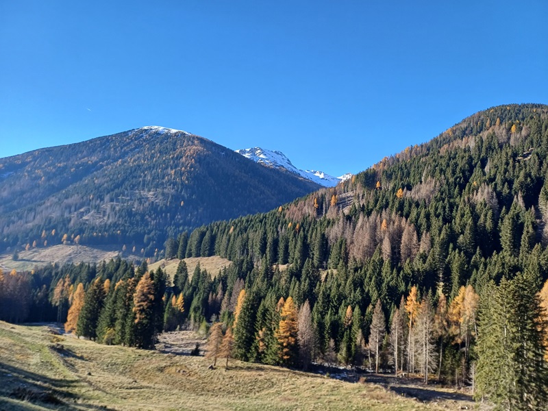 Autunno 2023 in Val Campelle