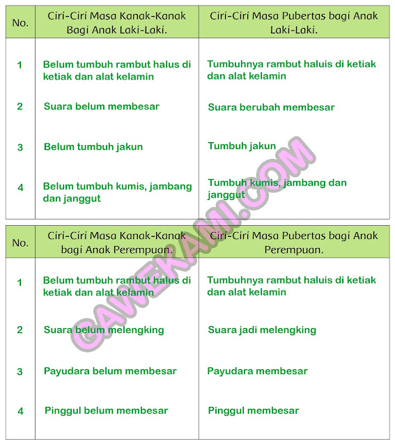  Membangun Masyarakat Sejahtera Pembelajaran  Kunci Jawaban Tematik Kelas 6 Tema 6 Subtema 2 Pembelajaran 2 Halaman 53, 55, 56, 57