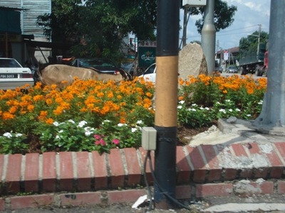 DSC02840