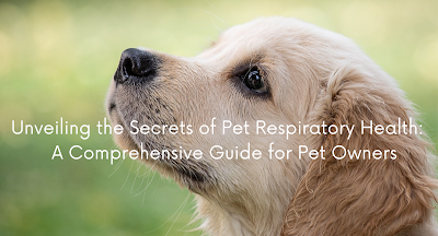 Unveiling the Secrets of Pet Respiratory Health:     A Comprehensive Guide for Pet Owners