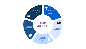 Jenis-Jenis Modul ERP