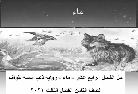 حل الفصل الرابع عشر - ماء - رواية ذئب اسمه طواف لغة عربية الصف الثامن الفصل الثالث 2021