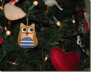 owl