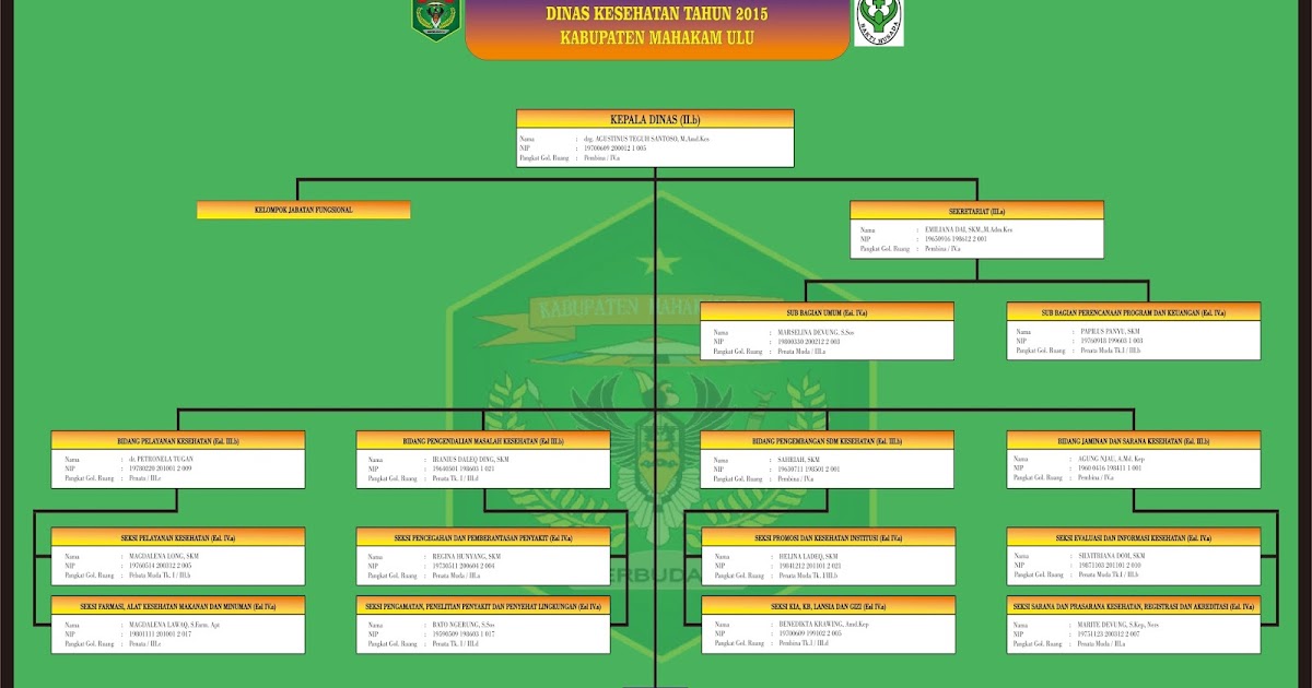 BAGAN STRUKTUR ORGANISASI DAN PERSONALIA  DINAS KESEHATAN 