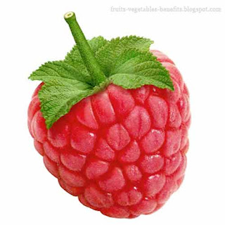 benefits_of_eating_raspberry_fruits-vegetables-benefitsblogspot.com(benefits_of_eating_raspberry_16)