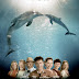 DOLPHIN TALE 2 & NO GOOD DEED & LOVE IS STRANGE