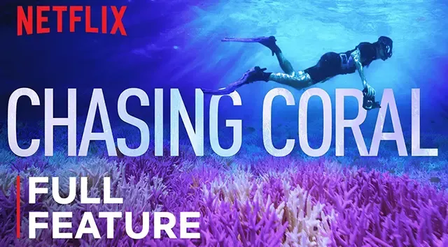 فيلم عن الشعب المرجانية