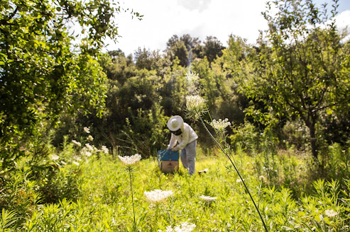 https://www.coherentmarketinsights.com/market-insight/organic-farming-market-2450