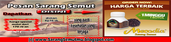 sarang semut papua, khasiat sarang semut papua, harga sarang semut papua, sarang semut dari papua, jual sarang semut papua, khasiat sarang semut dari papua, sarang semut asli papua, manfaat sarang semut, manfaat sarang semut papua, sarang semut manfaat, manfaat sarang semut bagi kesehatan, manfaat sarang semut untuk kesehatan, manfaat sarang semut dari papua, sarang semut papua manfaat, jual kapsul sarang semut, pohon sarang semut, penjual sarang semut, distributor sarang semut, sarang semut harga, sarang semut irian, pembeli sarang semut, kota sarang semut