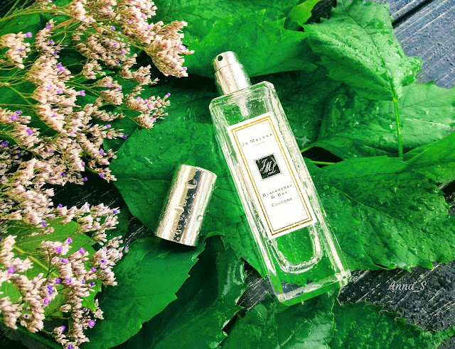 Jo Malone, Blackberry & Bay, cologne, ароматы, лето, селективная парфюмерия, одеколон, 