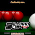 billiard litz