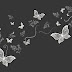 butterfly png wings