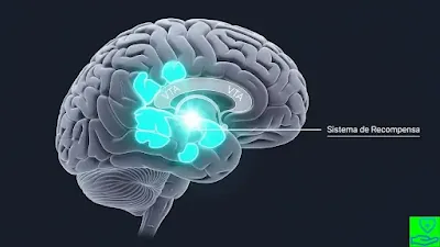 Dependência Química: Uma Doença do Cérebro Entendendo a dependência química como uma doença