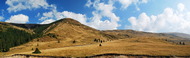 Transalpina panorama