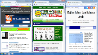 Berapa Web-Blog yang Anda Kelola..?!?!?