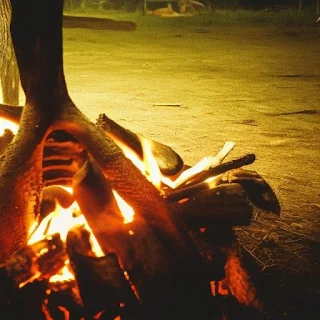 campfire in Kenya at dusk