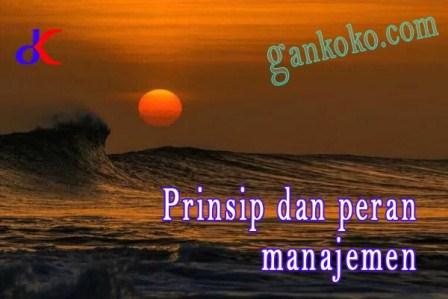 https://www.gankoko.com/2021/09/prinsip-dan-peran-manajemen.html