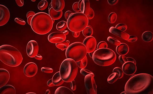 Anemia causes and methods of prevention | healthy care