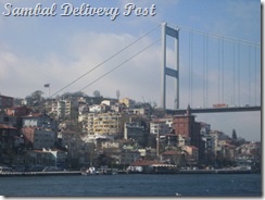Old Bosphorus and the city