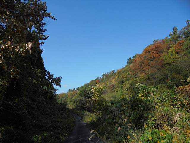 谷の道の山々の紅葉