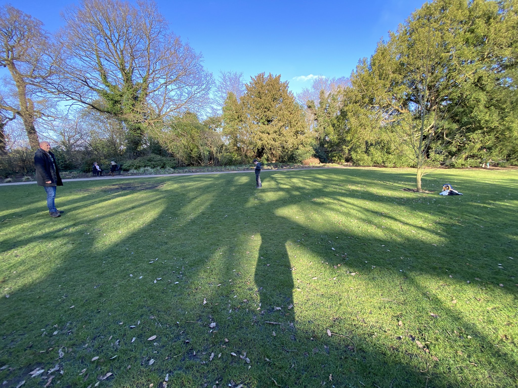 boy on grass