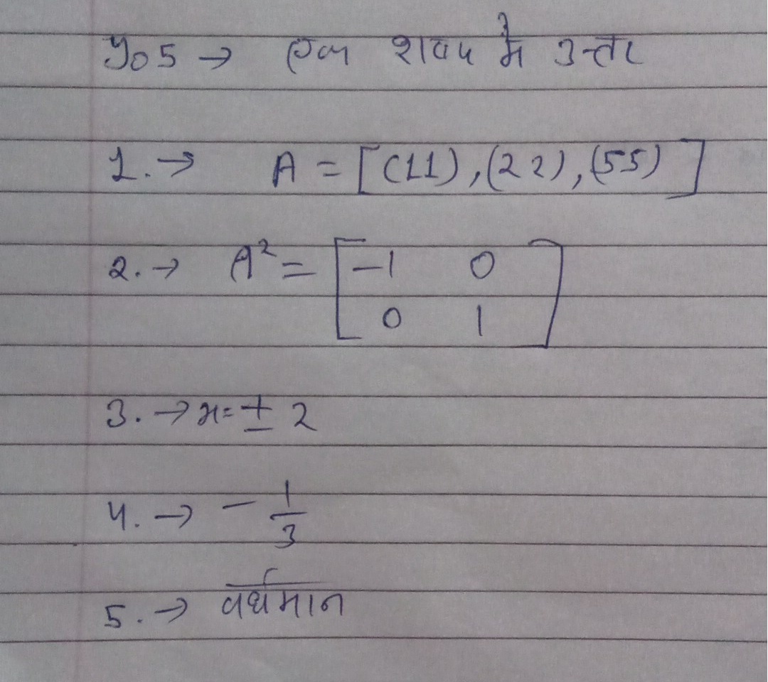 कक्षा 12वी गणित रिवीजन टेस्ट पेपर हल