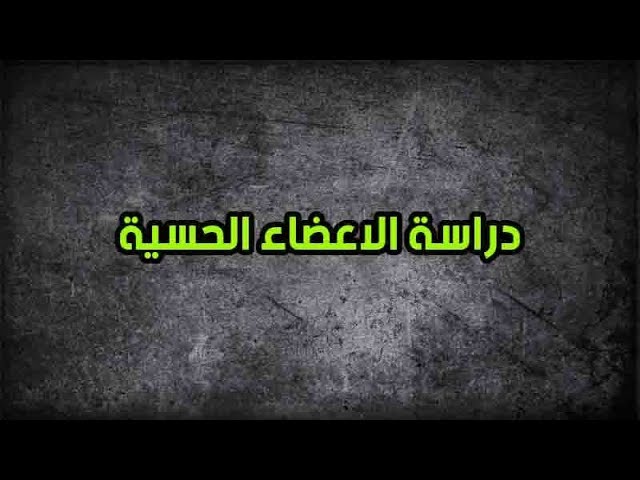 درس الاعضاء الحسية للسنة الرابعة متوسط علوم طبيعية