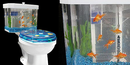 Flush and Fish Toilet Aquarium