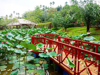 7 Tempat Wisata Medan Instagramable Yang Wajib Kalian Kunjungi - Kaum Rebahan ID