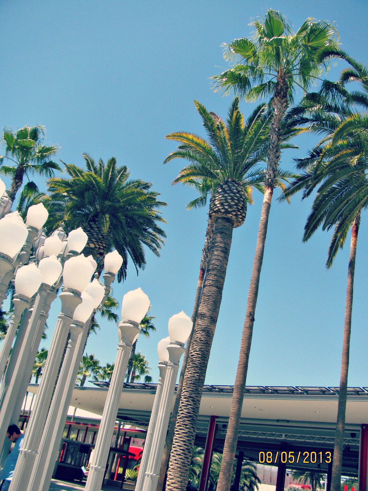 LACMA // Urban Light Palm Trees