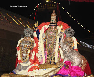 Sri Gajendra Varadhar,GAjendra Moksham, Theppam, Theppotsavam,  Maasi , Purappadu,  Trplicane,  Purappadu, Thiruvallikeni, Utsavam, 