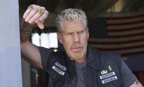 Todo lo que puedo decir es que si Ron Perlman est libre 