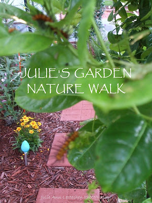 Julie's Garden Nature Walk - Oleander Caterpillar on Yellow Mandevilla