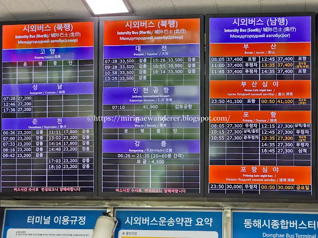 동해시 시외 버스 터미널 북행선