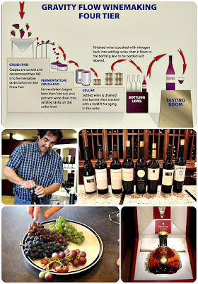 Science of Wine and liquor on Wine Dine And Play