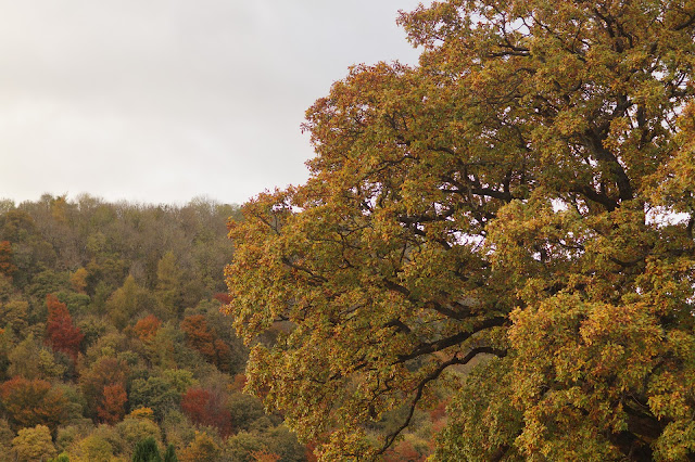 Pooley Bridge Ullswater Lake District in Autumn