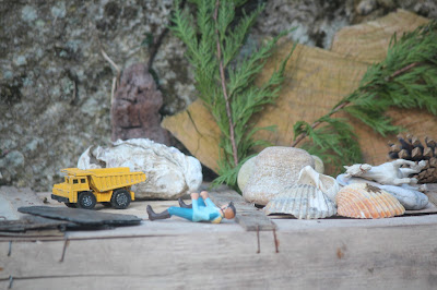 Slate, shells and leaves provide the perfect backdrop