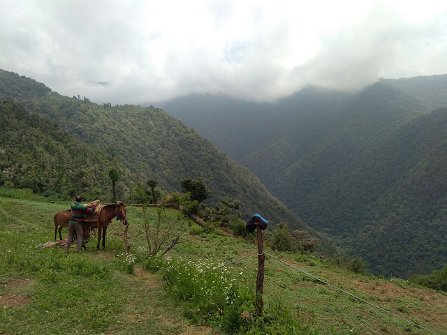 Uttarakhand Nag Tibba Trek