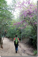 park guell