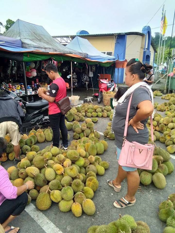 Jom Ke Sarawak - Pesta Durian dan Buah-Buahan Dengan Harga Murah