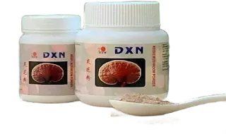 الفطر الريشي من dxn