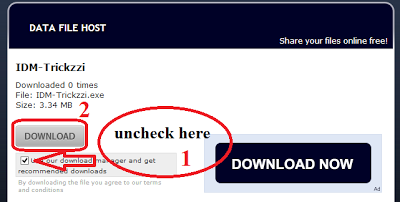 How to open blocked Websites