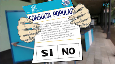 Sí a la Consulta Popular de la Oposición