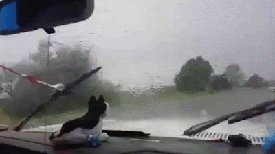 Kaputte Auto-Scheibenwischer bei Regenwetter zum lachen Kaputte Auto-Scheibenwischer bei Regenwetter zum lachen