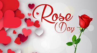 happy rose day photo, happy rose day photo 2021, happy rose day photo for wife, happy rose day photo girlfriend, happy rose day photo husband, happy rose day photo boyfriend