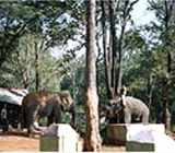 BONDLA WILDLIFE SANCTUARY GOA